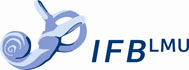logo_ifb_lmu